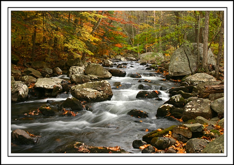 Fall Colors at Stony Brook   Copy